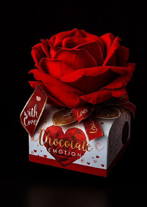 chocol_em_ban_2