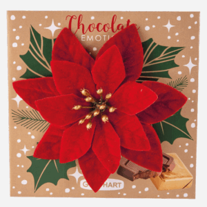 Pudełko Pralin z Materiałową Gwiazdą Betlejemską